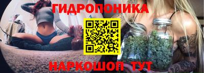 прущие грибы Малоярославец