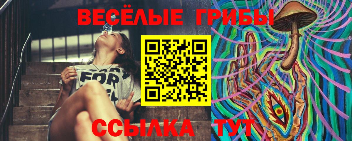 Шадринск  Псилоцибиновые грибы MAGIC MUSHROOMS  Вход с VPN  Галлюциногенные грибы мицелий 